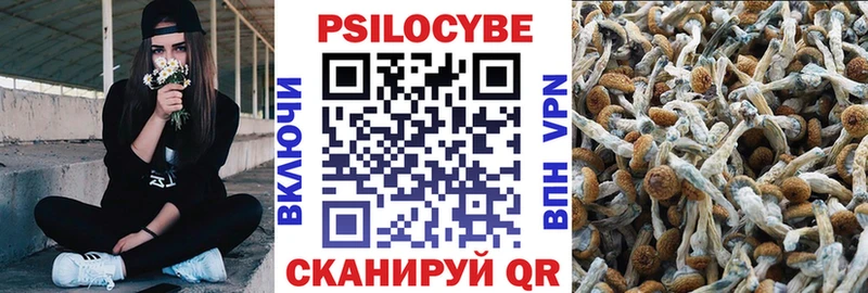 Галлюциногенные грибы прущие грибы  блэк спрут ссылка  Белоярский 